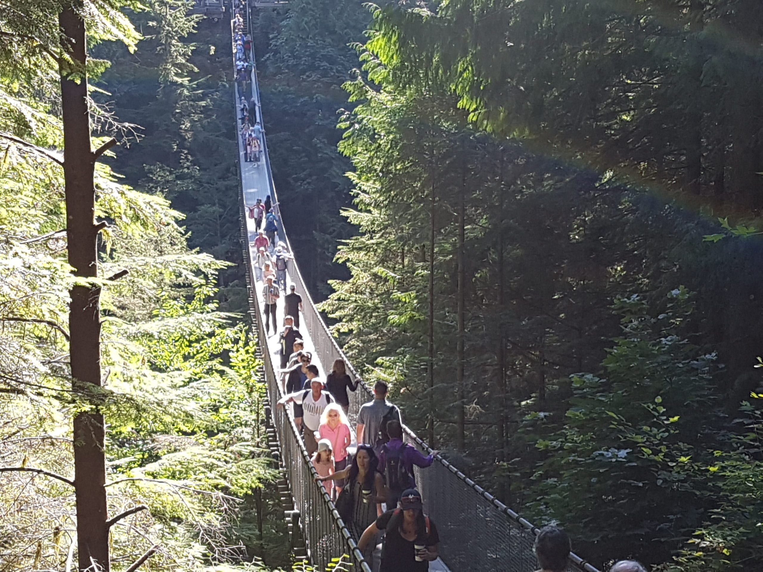 road trip vancouver to banff suspension bridge with people on it