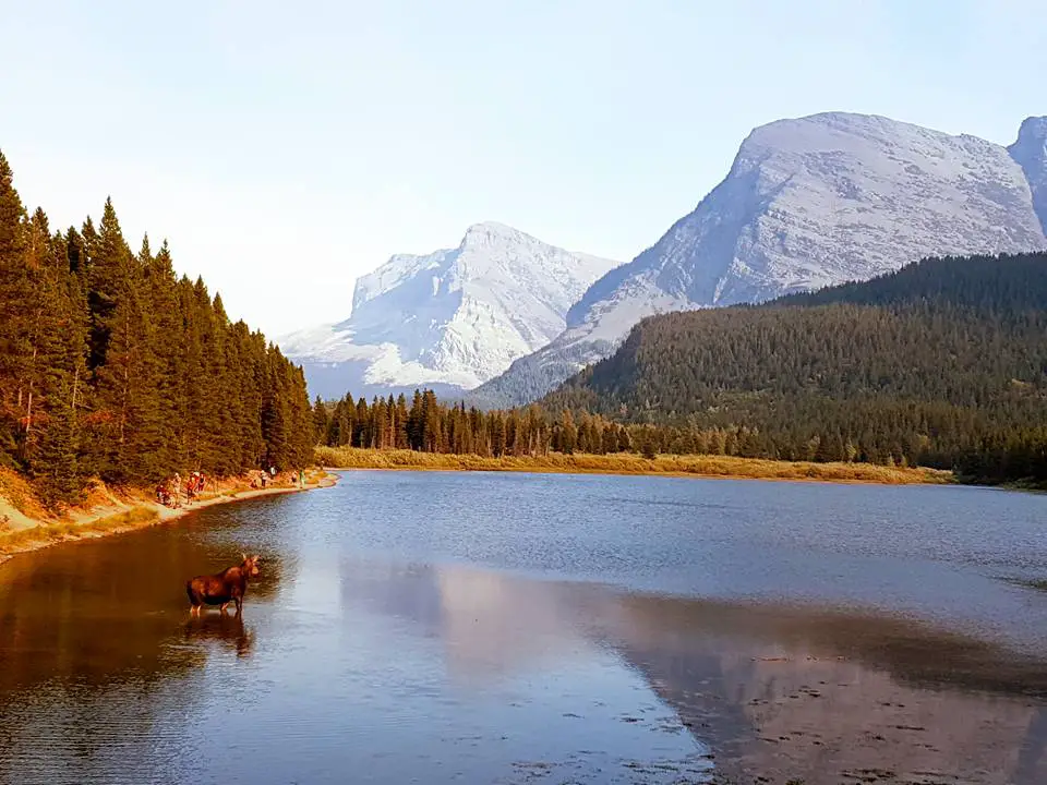 Road Trip to Glacier National Park & Going to the Sun Road