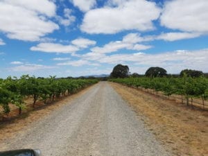 Halls Gap Estate