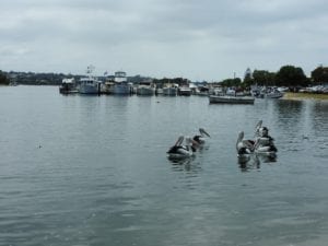 Weekend getaways in Victoria- beaches and nature.