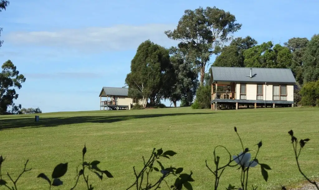 Yering Gorge Cottages- awesome views + kangaroos