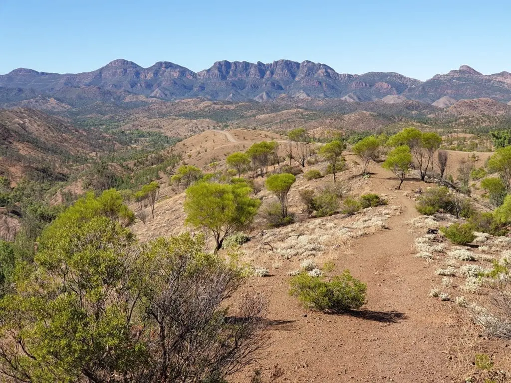Adelaide to flinders ranges lookout with arid mountains and shrubs