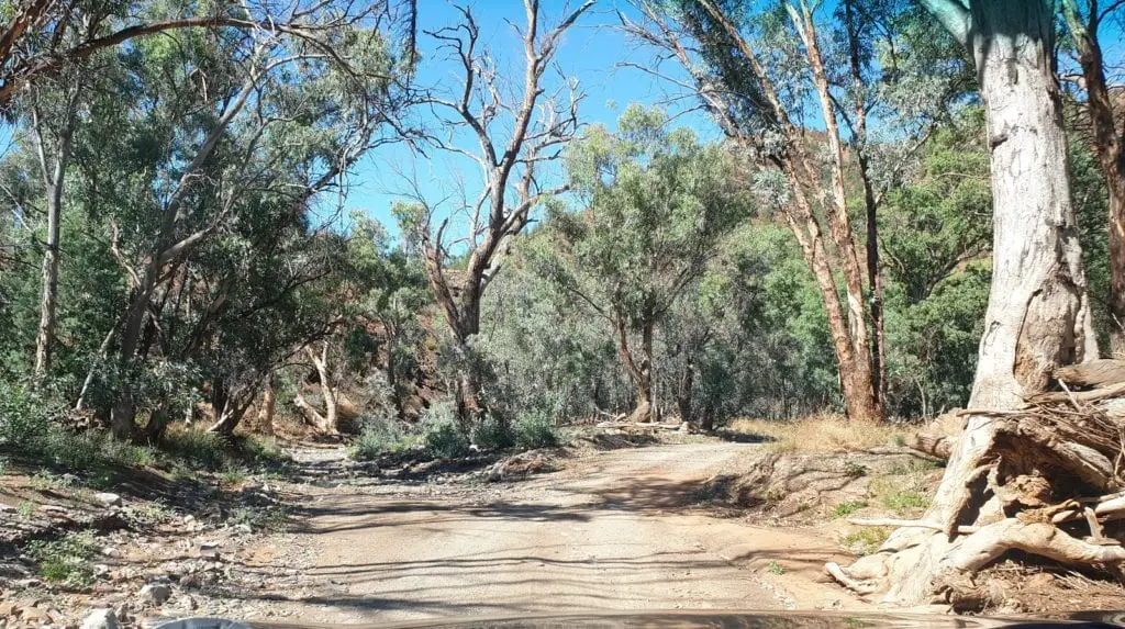 Adelaide to flinders ranges off road track through bush