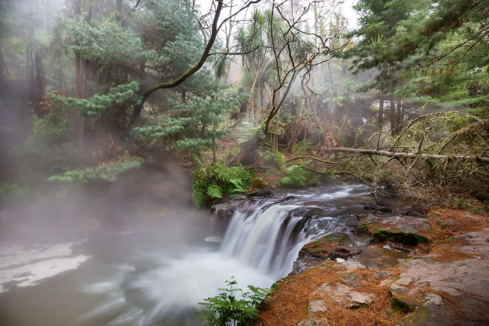 things to do Rotorua