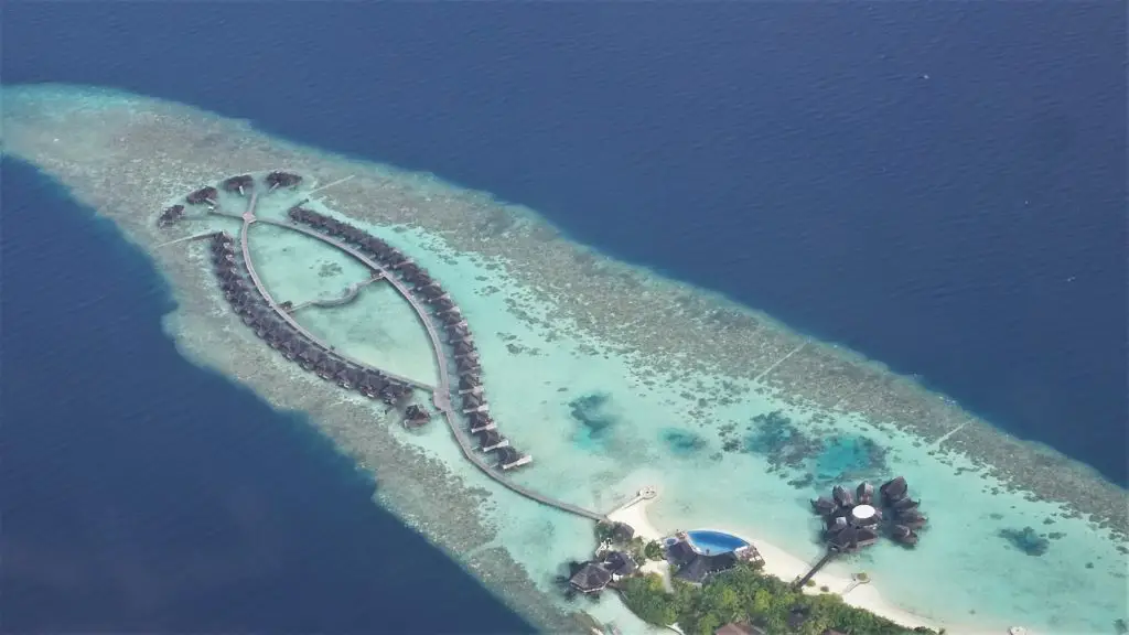 swim with whale sharks Maldives - aerial view of South Ari resorts