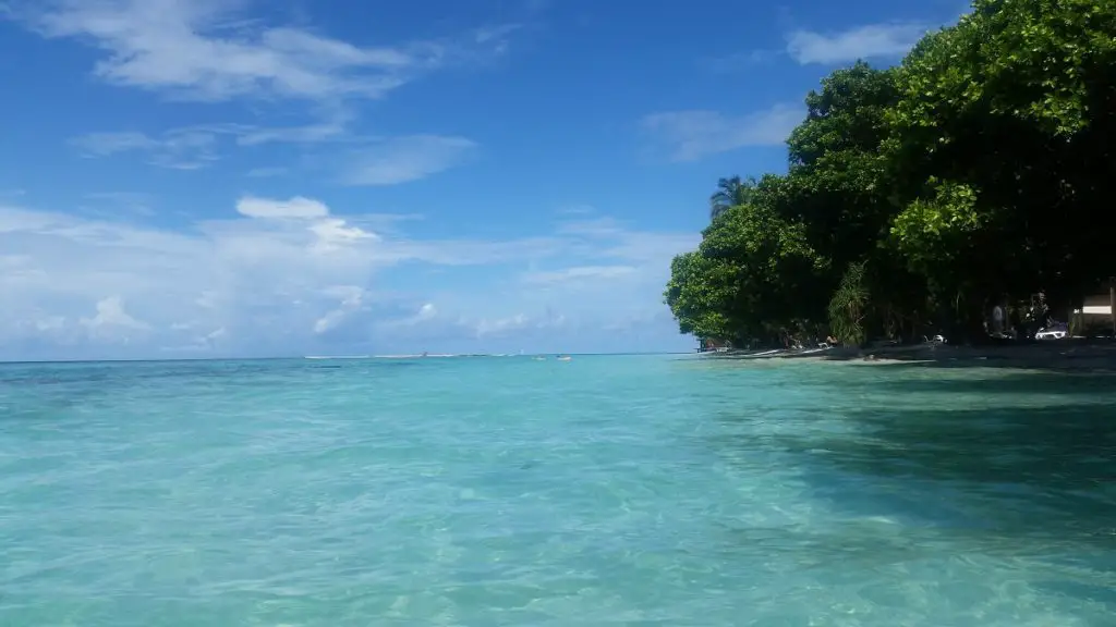 vilamendhoo island resort review standing in the water looking back on the island