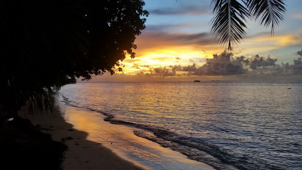 vilamendhoo island resort review  sunset