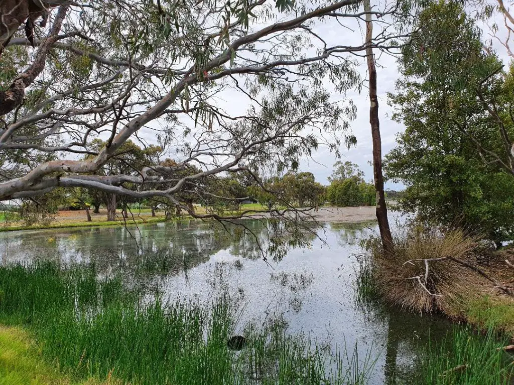 Lake Boort