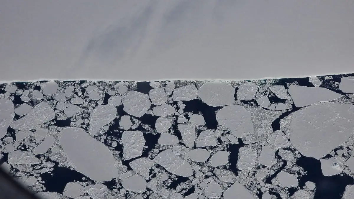 qantas to Antarctica flight review shows sheet ice along the coast of Antarctica