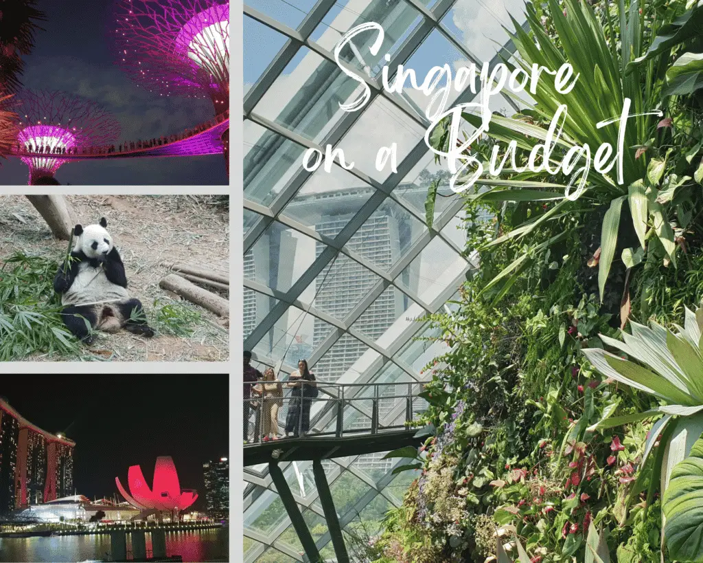 Singapore on a budget – ultimate guide to the city