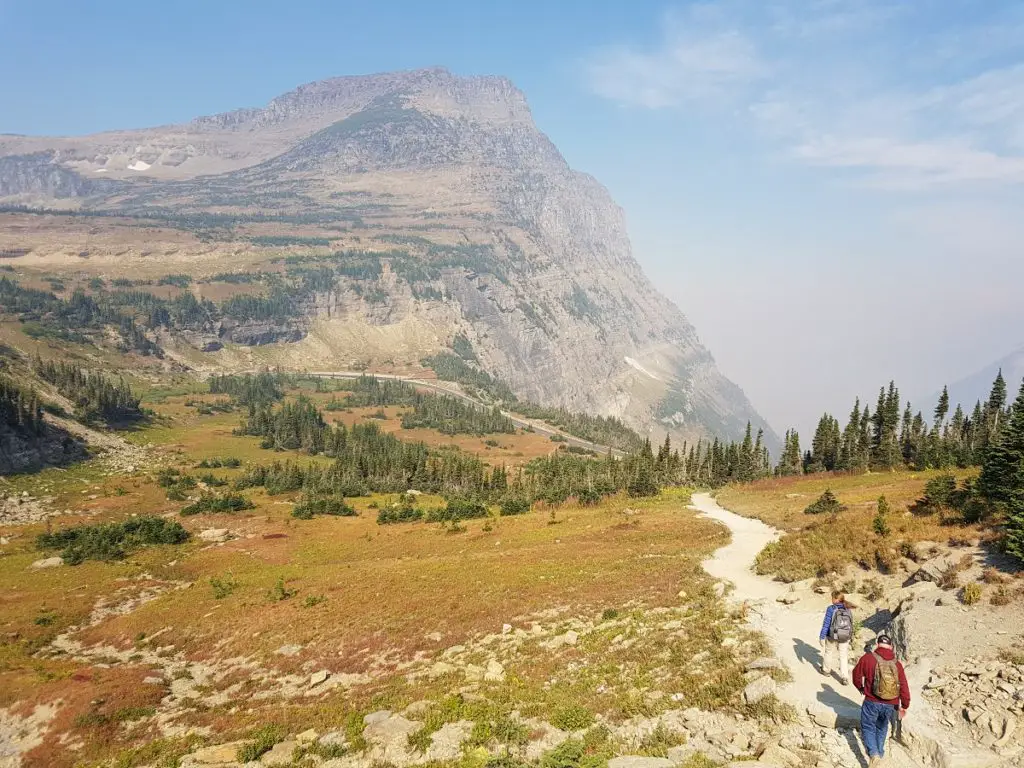 2 week National Park Road trip - hiking Logan Pass with mountain in background and pine trees 