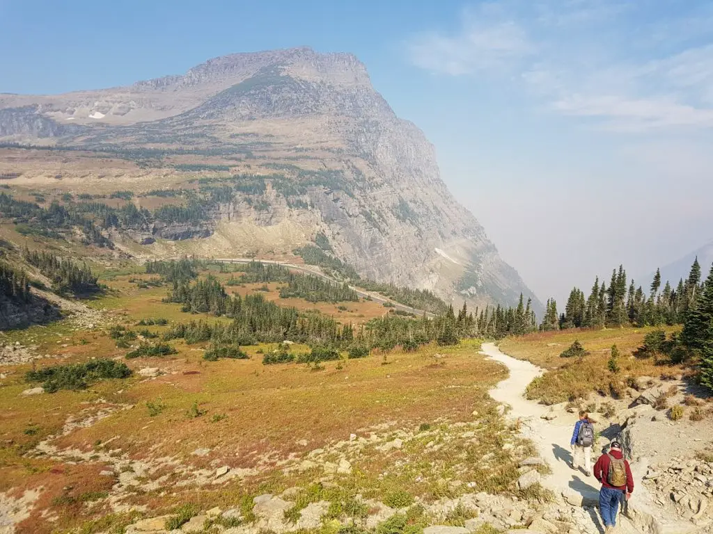 2 week National Park Road trip - hiking Logan Pass with mountain in background and pine trees