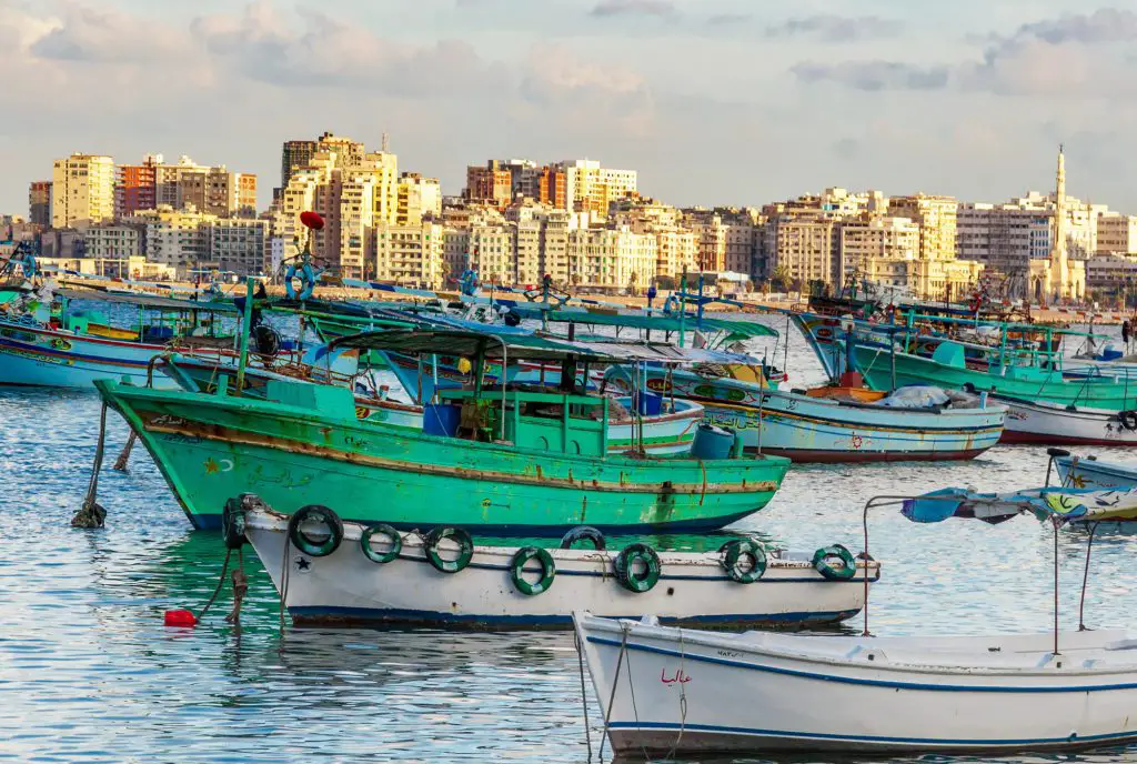 Green and white boats in Alexandria on the water. The city skyline sits behind with concentrated buildings.