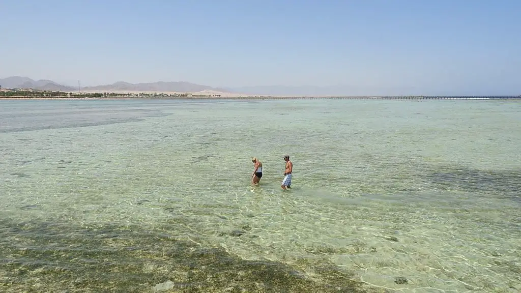 Two people wading through the shallow water 