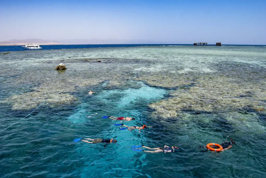 people snorkeling near Tiran Island in Egpyt. Things to do in Sharm El Sheikh