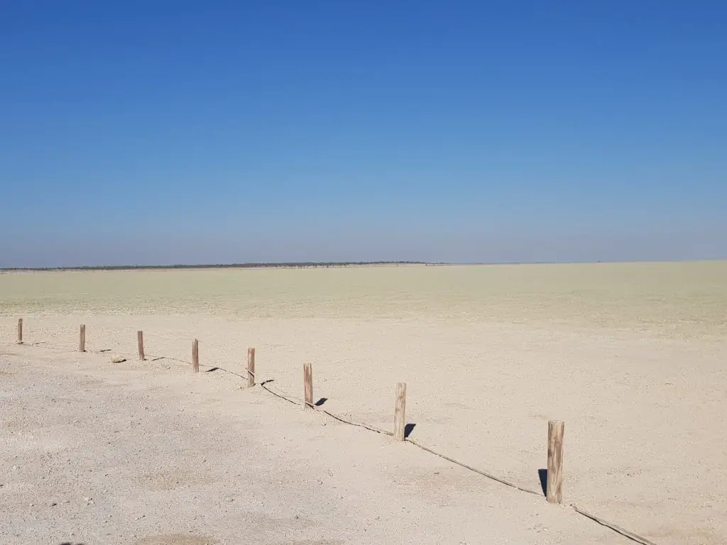 Visiting Etosha National park - salt pan with fence line