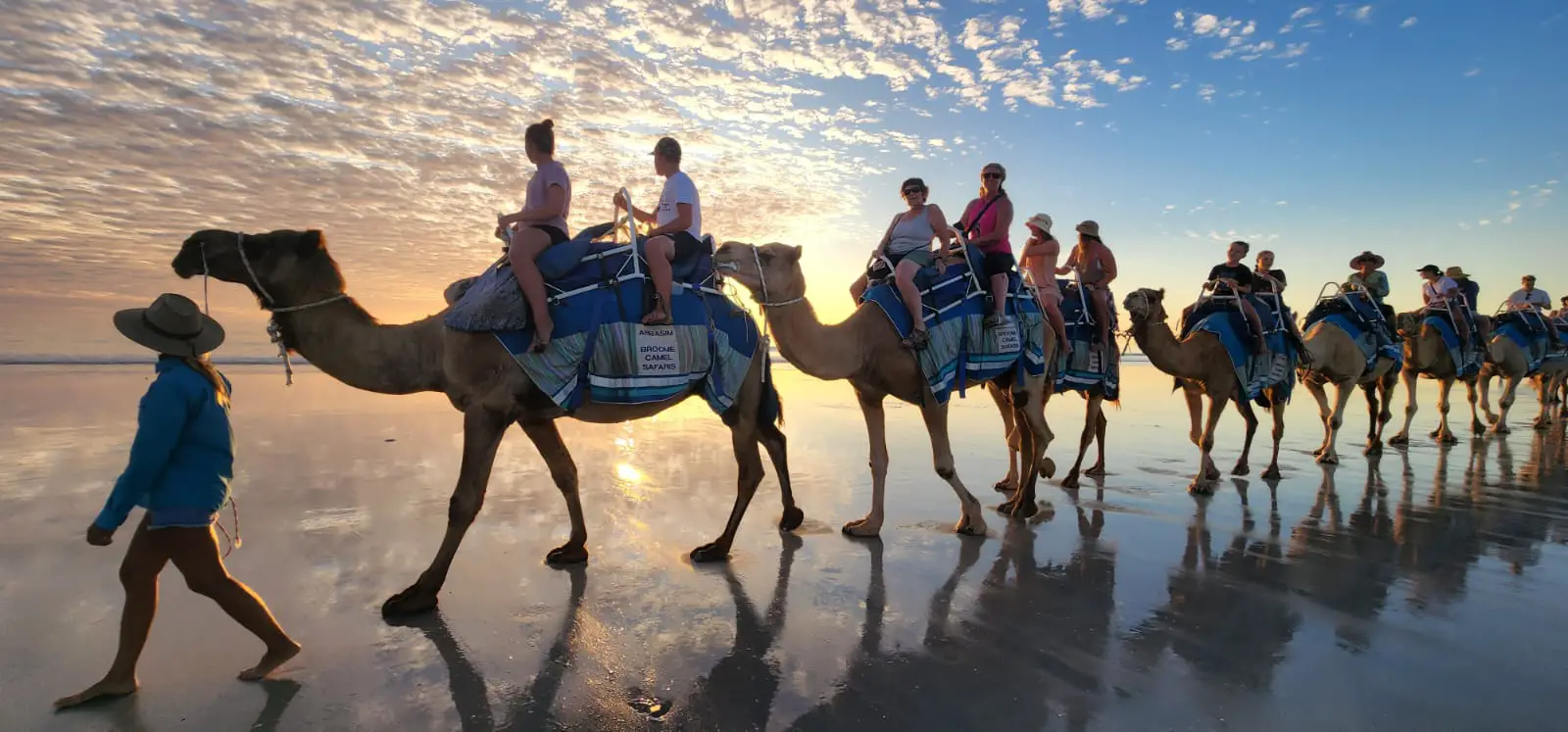 camels on the beach at sunset - Broome itinerart
