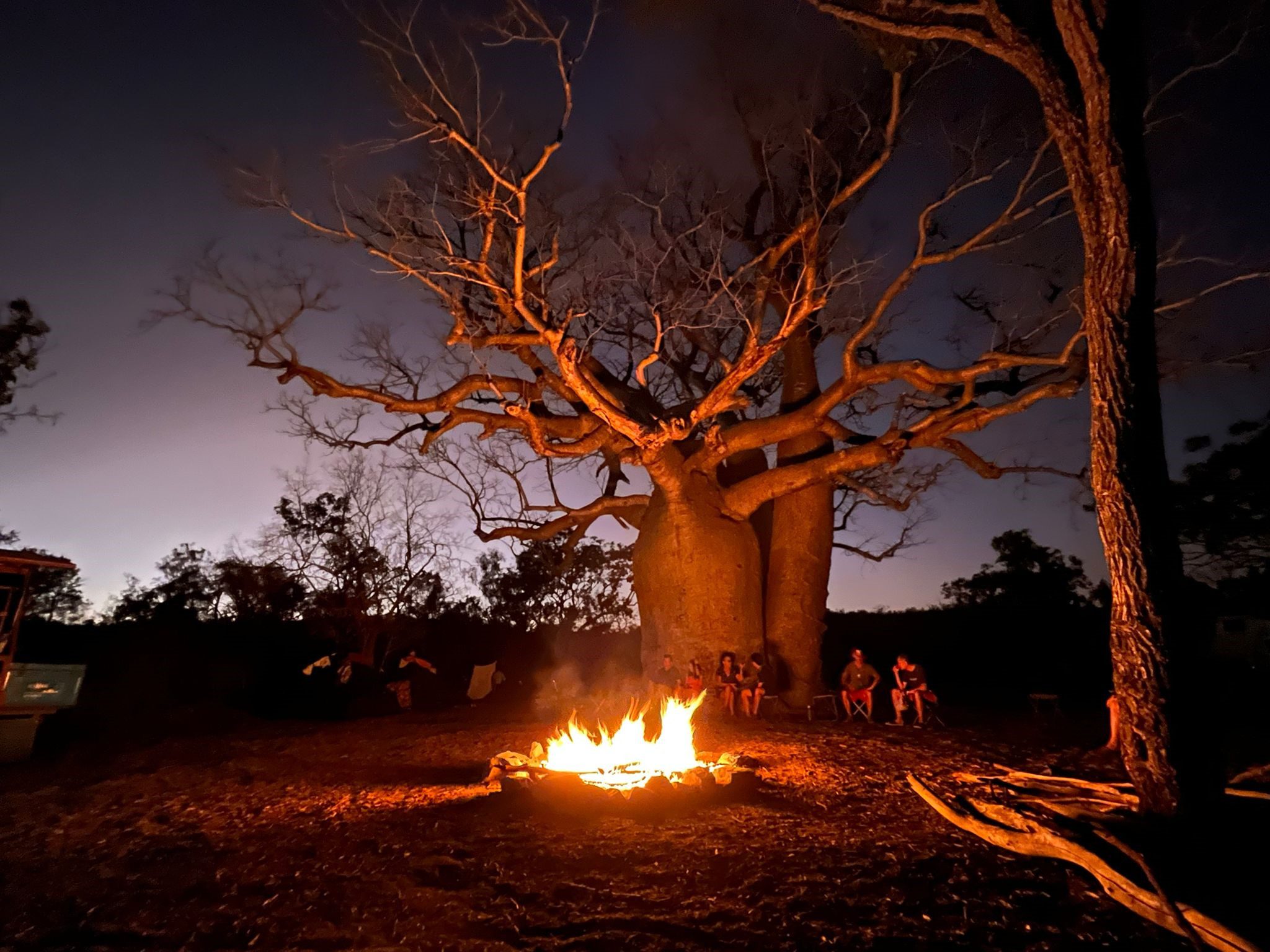 Broomee to Darwin Tour = sitting in camp at night with fire under a boab tree