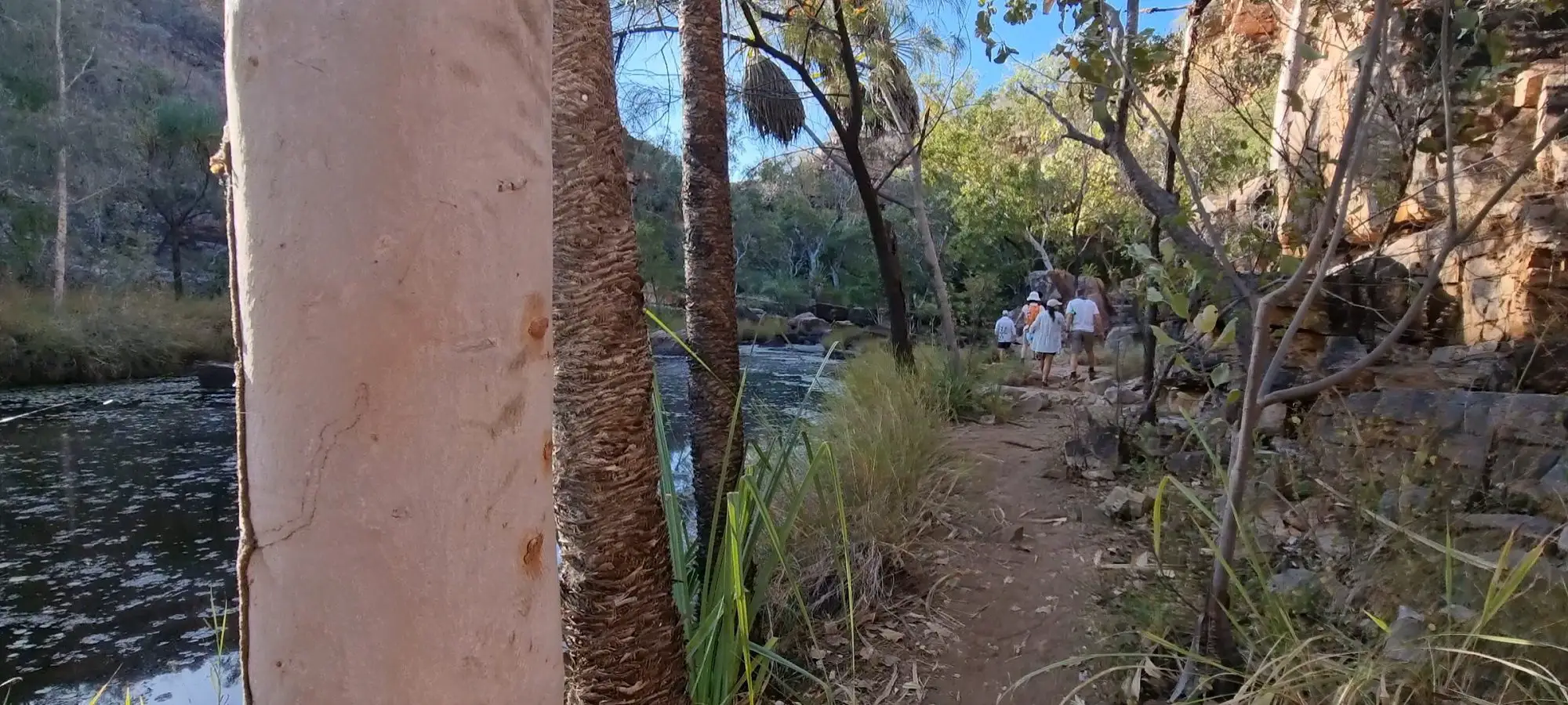 walking alongside a river at Adcock Gorge