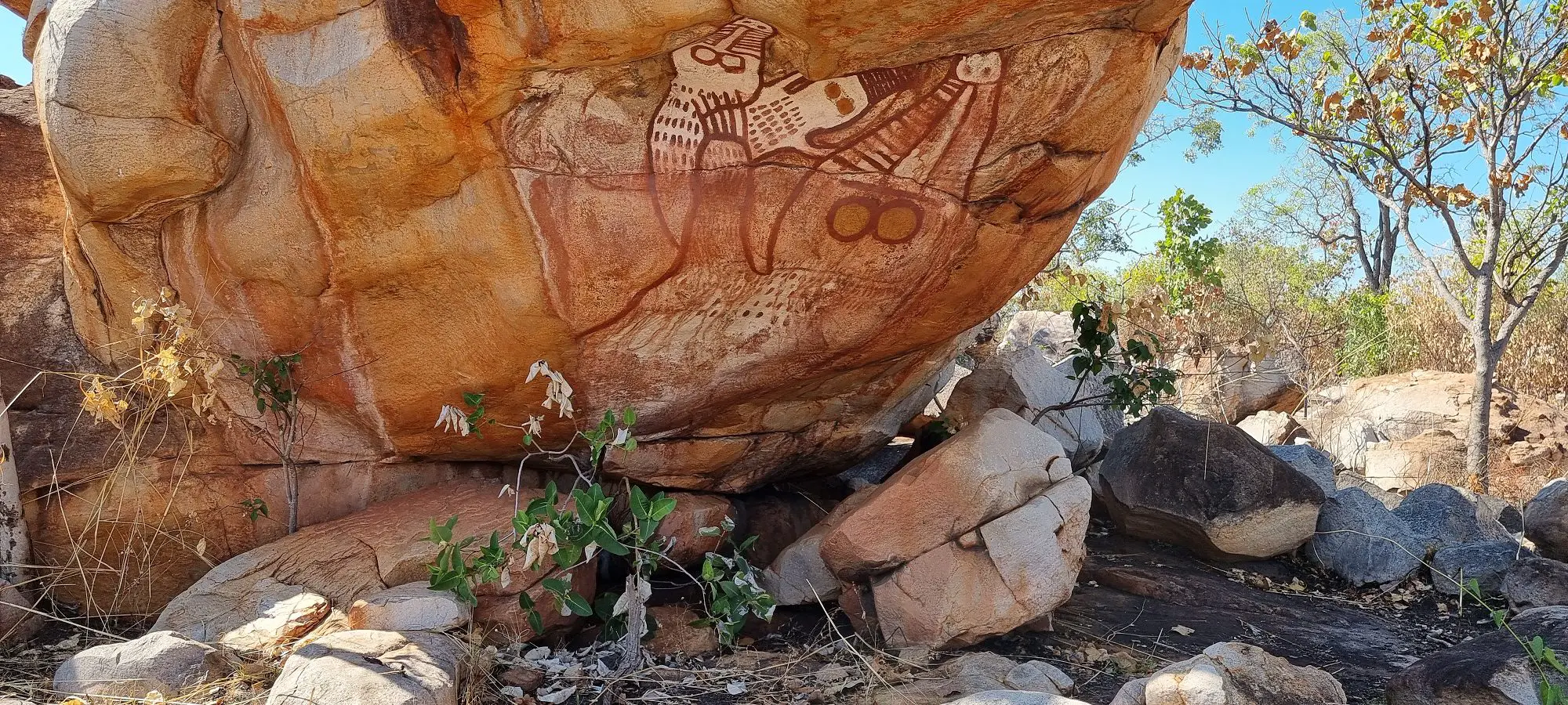 Indigenous rock art in the Kimberley's Broome to Darwin Tour
