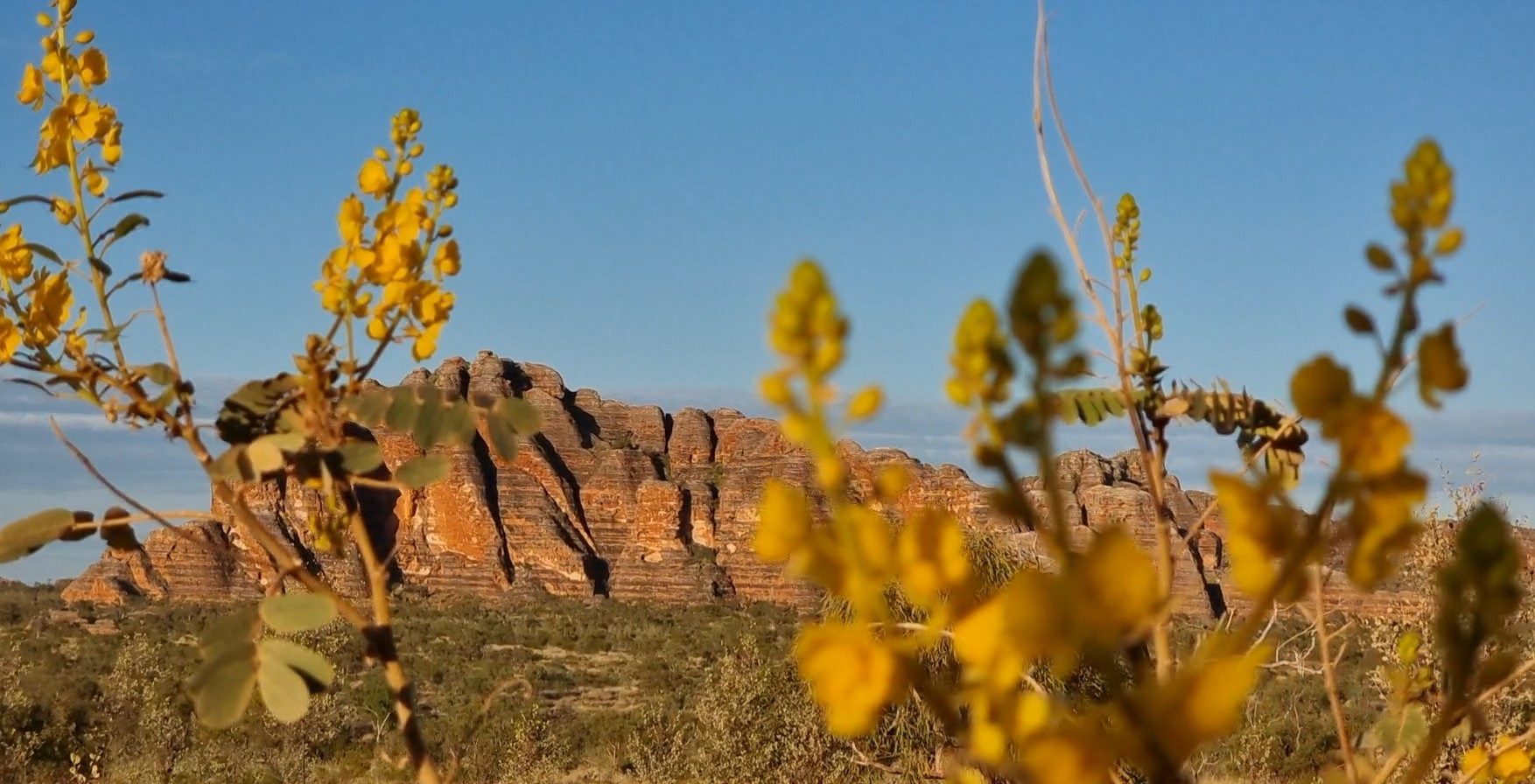 ross tours broome to darwin