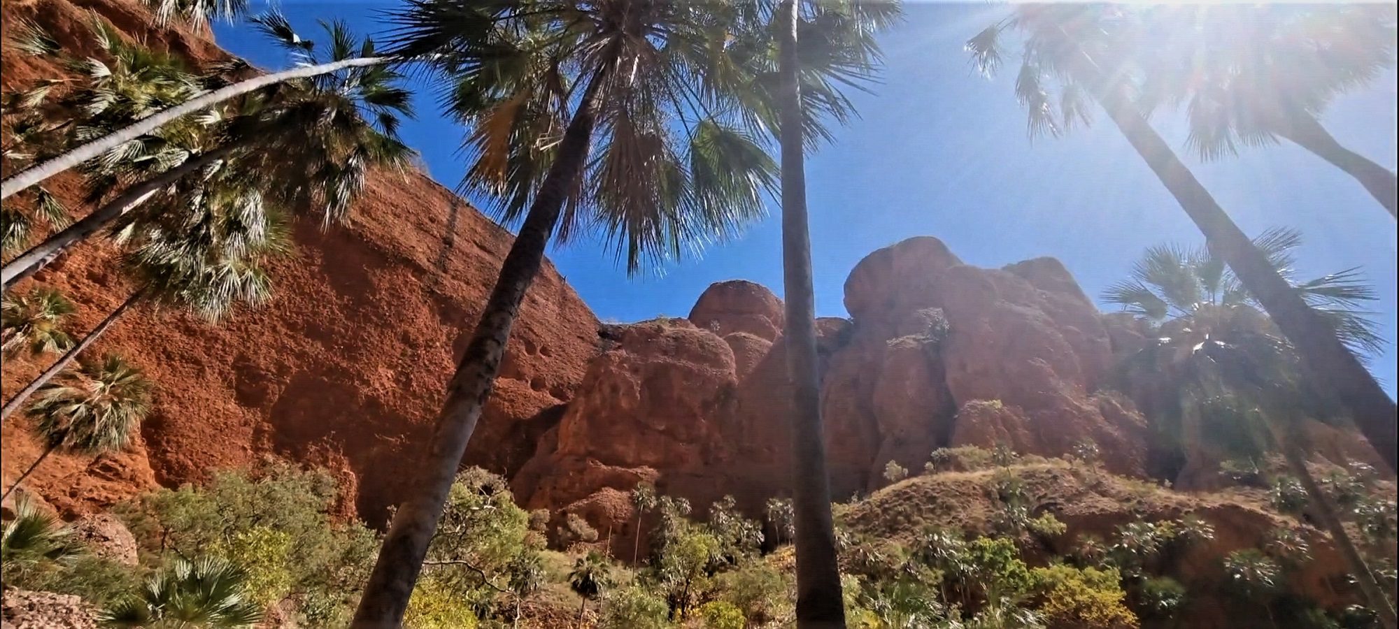 ross tours broome to darwin