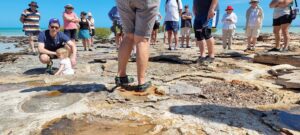 Where to find dinosaur footprints in Broome – best place